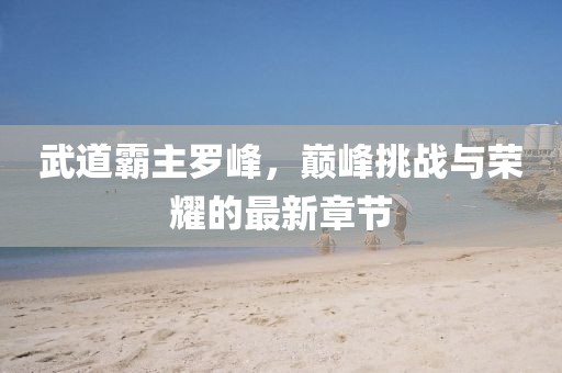 武道霸主羅峰，巔峰挑戰(zhàn)與榮耀的最新章節(jié)
