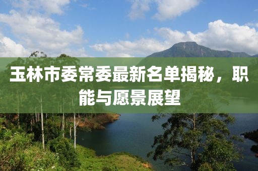 玉林市委常委最新名單揭秘，職能與愿景展望