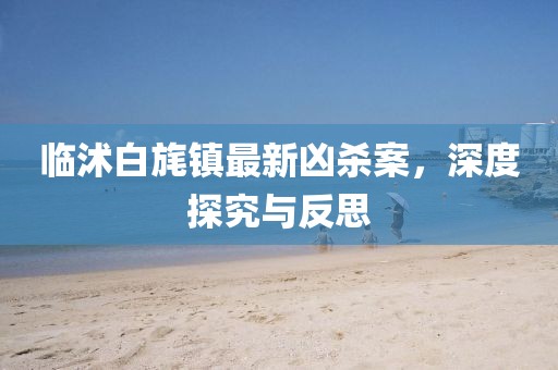 臨沭白旄鎮(zhèn)最新兇殺案，深度探究與反思