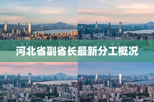 河北省副省長最新分工概況