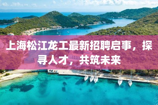上海松江龍工最新招聘啟事，探尋人才，共筑未來