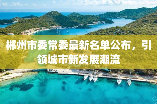 郴州市委常委最新名單公布，引領(lǐng)城市新發(fā)展潮流