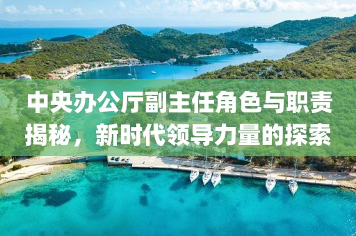 中央辦公廳副主任角色與職責(zé)揭秘，新時代領(lǐng)導(dǎo)力量的探索
