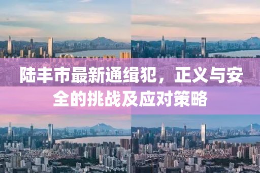 陸豐市最新通緝犯，正義與安全的挑戰(zhàn)及應對策略