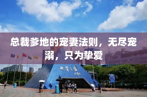 總裁爹地的寵妻法則，無盡寵溺，只為摯愛