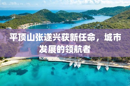平頂山張遂興獲新任命，城市發(fā)展的領航者