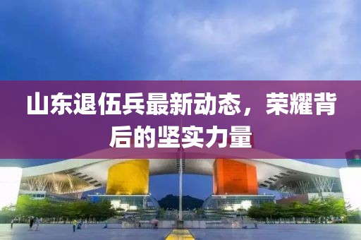 山東退伍兵最新動態(tài)，榮耀背后的堅實力量