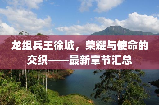 龍組兵王徐城，榮耀與使命的交織——最新章節(jié)匯總