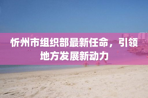 忻州市組織部最新任命，引領(lǐng)地方發(fā)展新動力