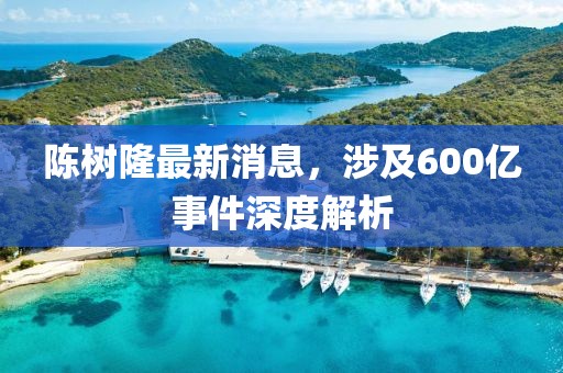 陳樹隆最新消息，涉及600億事件深度解析