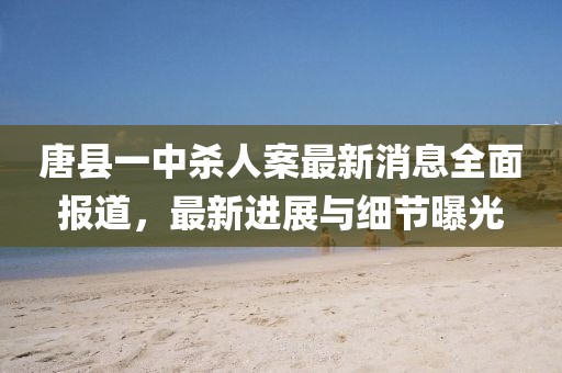 唐縣一中殺人案最新消息全面報道，最新進展與細節(jié)曝光