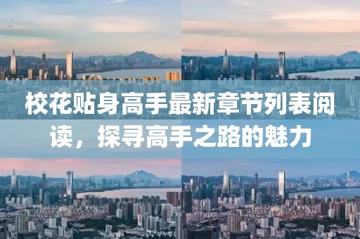 校花貼身高手最新章節(jié)列表閱讀，探尋高手之路的魅力