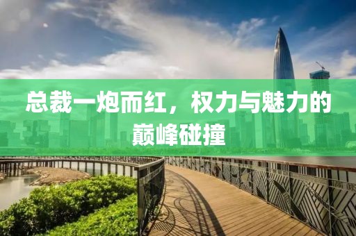 總裁一炮而紅，權(quán)力與魅力的巔峰碰撞