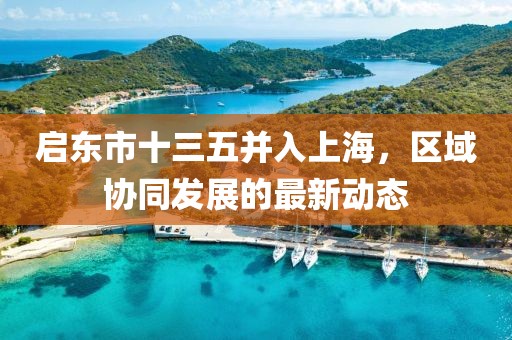 啟東市十三五并入上海，區(qū)域協(xié)同發(fā)展的最新動態(tài)