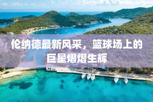 倫納德最新風(fēng)采，籃球場上的巨星熠熠生輝