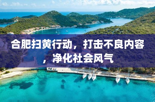 合肥掃黃行動(dòng)，打擊不良內(nèi)容，凈化社會(huì)風(fēng)氣