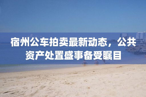 宿州公車拍賣最新動(dòng)態(tài)，公共資產(chǎn)處置盛事備受矚目