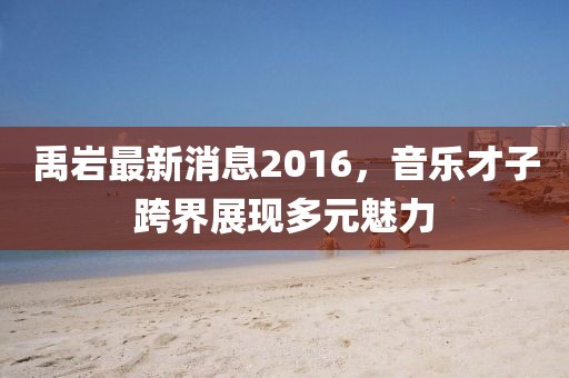 禹巖最新消息2016，音樂才子跨界展現(xiàn)多元魅力