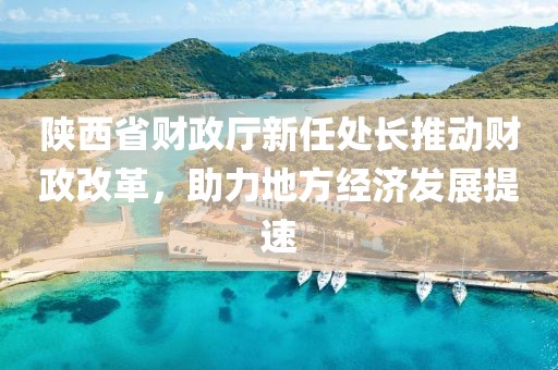 陜西省財政廳新任處長推動財政改革，助力地方經(jīng)濟發(fā)展提速