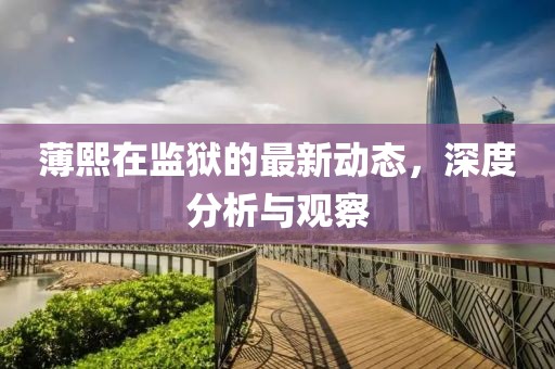 薄熙在監(jiān)獄的最新動態(tài)，深度分析與觀察