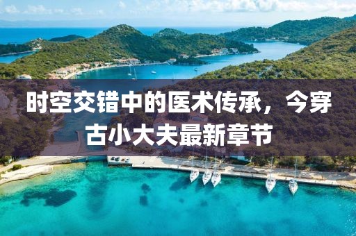 時空交錯中的醫(yī)術(shù)傳承，今穿古小大夫最新章節(jié)
