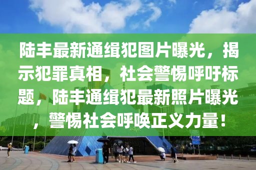 陸豐最新通緝犯圖片曝光，揭示犯罪真相，社會(huì)警惕呼吁標(biāo)題，陸豐通緝犯最新照片曝光，警惕社會(huì)呼喚正義力量！