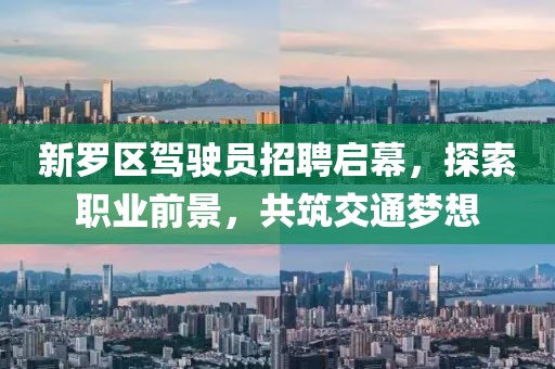 新羅區(qū)駕駛員招聘啟幕，探索職業(yè)前景，共筑交通夢想