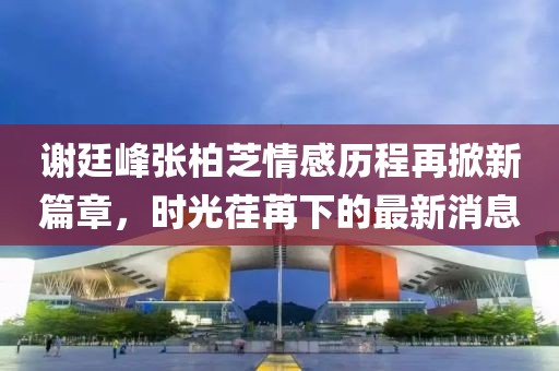 謝廷峰張柏芝情感歷程再掀新篇章，時光荏苒下的最新消息