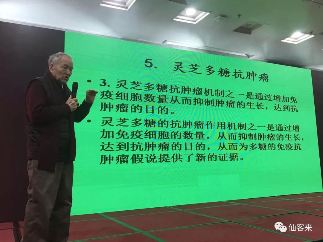 杭州亞運會官方靈芝產品供應商|杭州亞運會官方供應商|中國靈芝十大品牌|仙客來靈芝|仙客來靈芝破壁孢子粉|仙客來孢子油|仙客來靈芝飲片|仙客來破壁孢子粉|靈芝孢子油|孢子粉|靈芝破壁孢子粉|靈芝|中華老字號