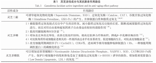 杭州亞運(yùn)會(huì)官方靈芝產(chǎn)品供應(yīng)商|杭州亞運(yùn)會(huì)官方供應(yīng)商|中國(guó)靈芝十大品牌|仙客來靈芝|仙客來靈芝破壁孢子粉|仙客來孢子油|仙客來靈芝飲片|仙客來破壁孢子粉|靈芝孢子油|孢子粉|靈芝破壁孢子粉|靈芝|中華老字號(hào)