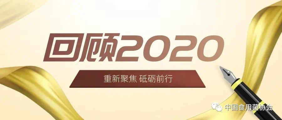 杭州亞運會官方靈芝產(chǎn)品供應商|杭州亞運會官方供應商|中國靈芝十大品牌|仙客來靈芝|仙客來靈芝破壁孢子粉|仙客來孢子油|仙客來靈芝飲片|仙客來破壁孢子粉|靈芝孢子油|孢子粉|靈芝破壁孢子粉|靈芝|中華老字號