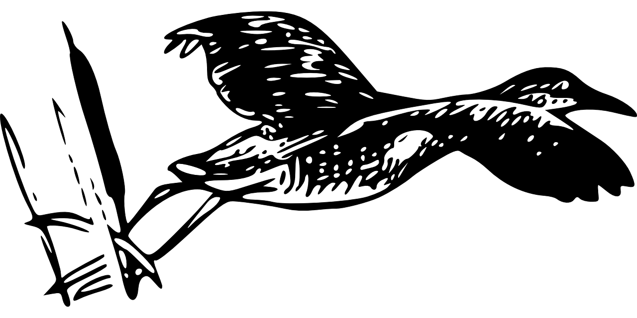 第2359頁