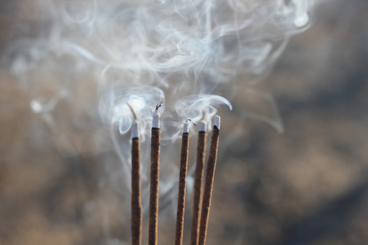 昆山溪香米蘭最新動態(tài)揭秘，最新消息一覽無余