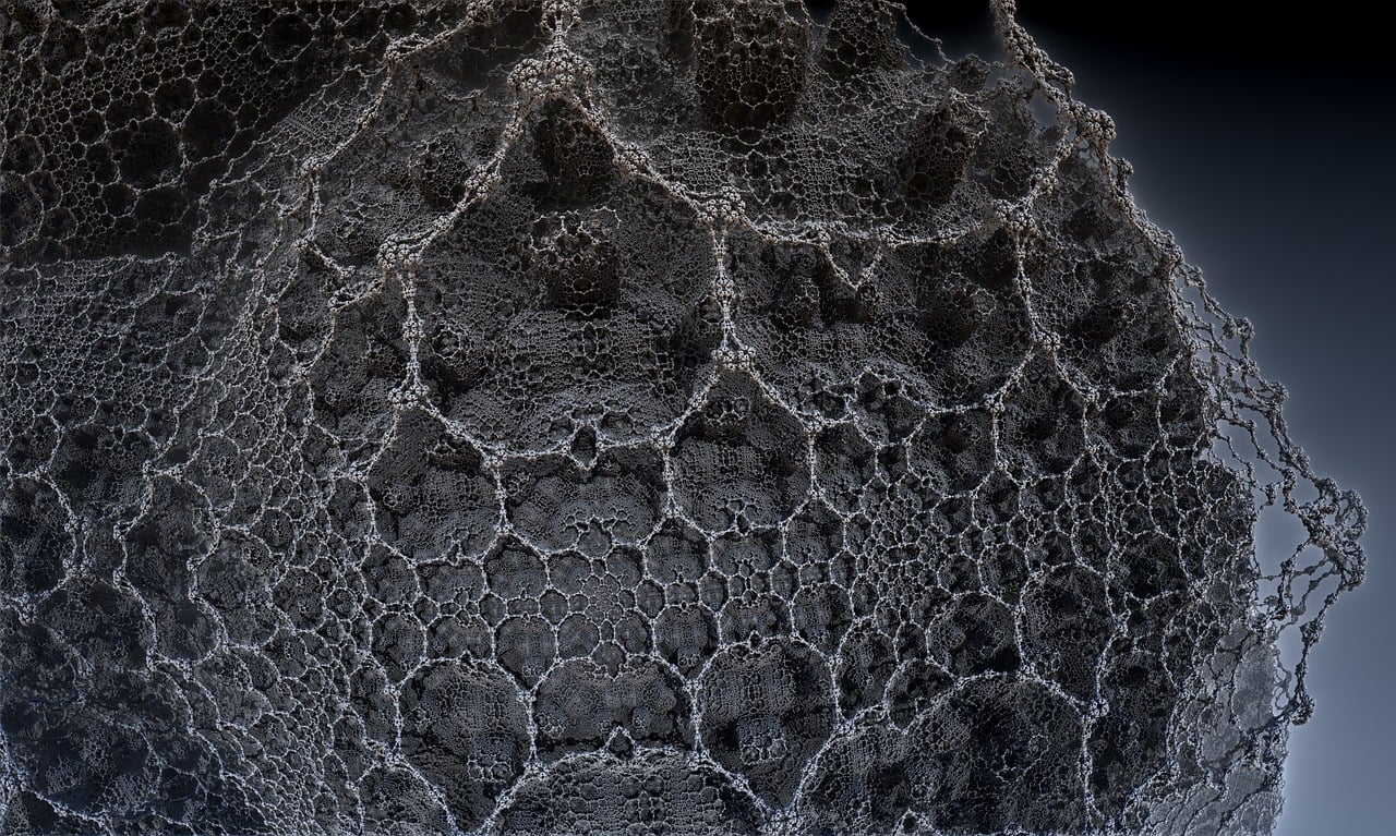 湛江李昌梧最新動態(tài)，傳奇人物的嶄新篇章